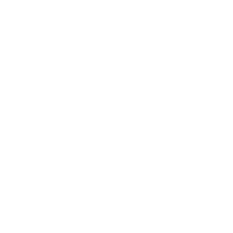 Commercial Terms